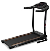 CARBON FITNESS T306